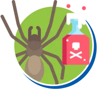 Aranhas | Dedetização de Aranhas // Tipos e Biologia das Aranhas