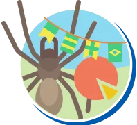 Aranhas | Dedetização de Aranhas // Tipos e Biologia das Aranhas