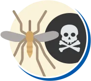 Mosquitos e Pernilongos | Conheça sobre Mosquitos e Pernilongos