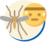 Mosquitos e Pernilongos | Conheça sobre Mosquitos e Pernilongos