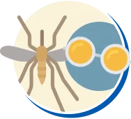 Mosquitos e Pernilongos | Conheça sobre Mosquitos e Pernilongos