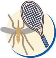 Mosquitos e Pernilongos | Conheça sobre Mosquitos e Pernilongos