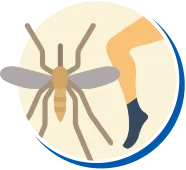 Mosquitos e Pernilongos | Conheça sobre Mosquitos e Pernilongos