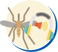 Mosquitos e Pernilongos | Conheça sobre Mosquitos e Pernilongos