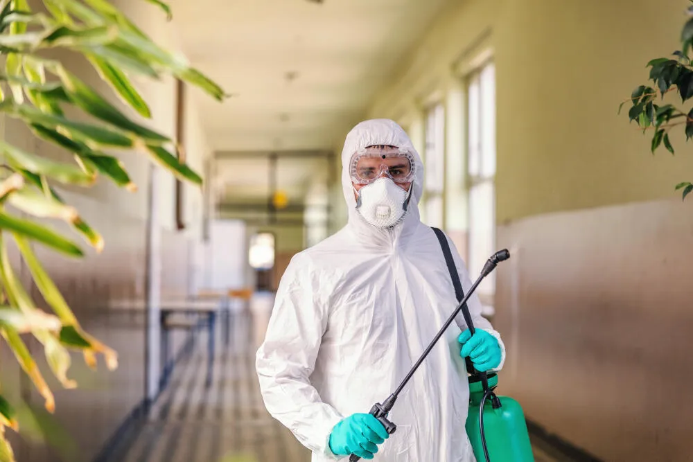 Dedetizadora em Curitiba: conte com uma empresa especializada para o controle de pragas