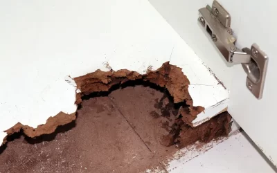 Como identificar a infestação de cupins em portas?