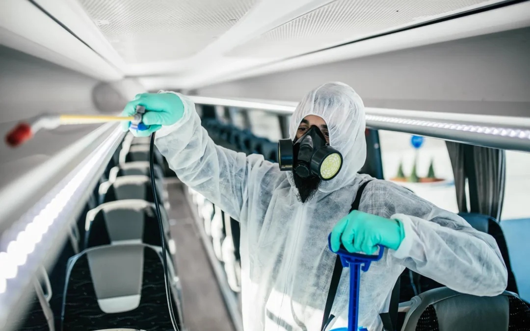 Dedetização de transporte coletivo: por que é importante realizar?