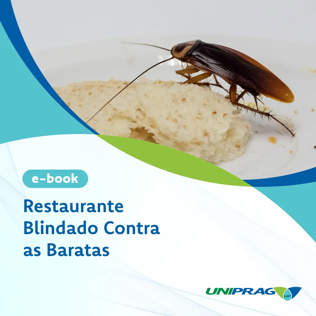 Restaurante blindado contra as baratas