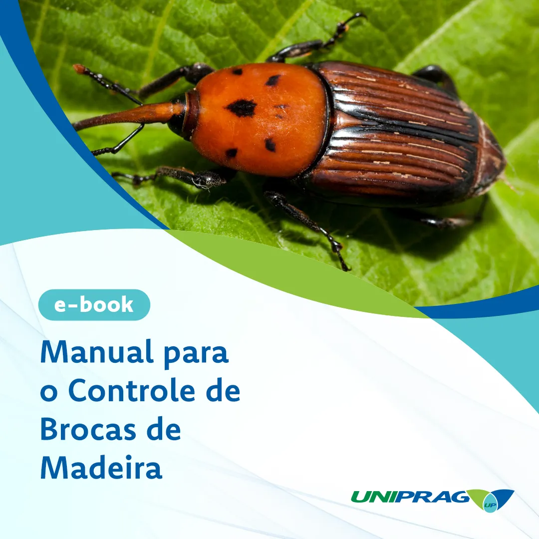 Manual de controle de traças antes das traças traçarem seus bens