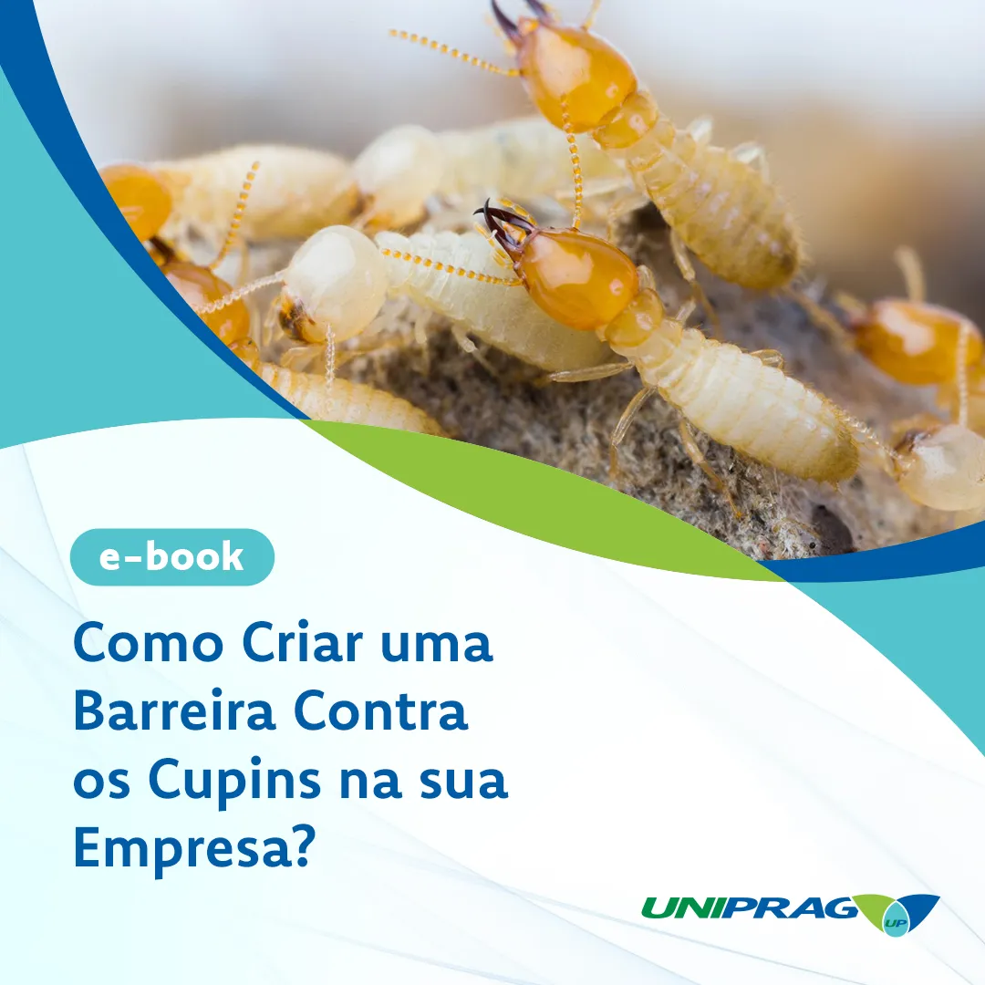 Como criar uma barreira contra os cupins na sua empresa