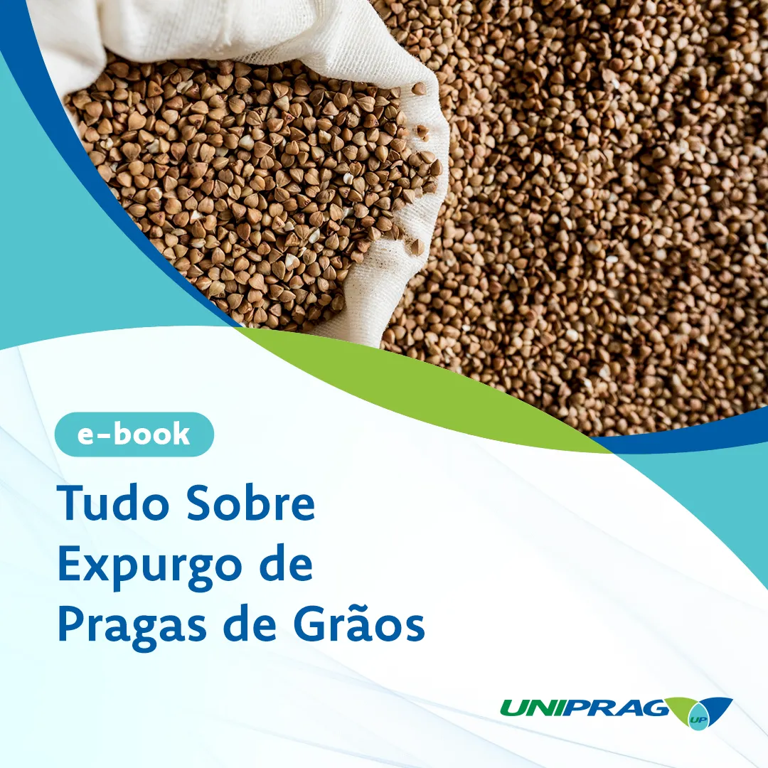 Tudo sobre Expurgo de Pragas de Grãos