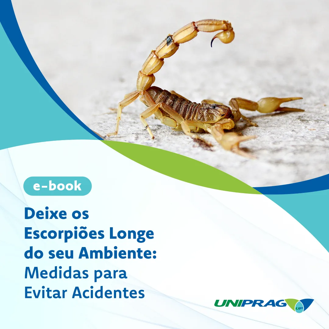 Tudo o que você precisa saber sobre escorpiões