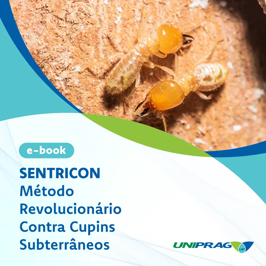 Manual de recomendação para efetuar a Sanitização em Escritórios