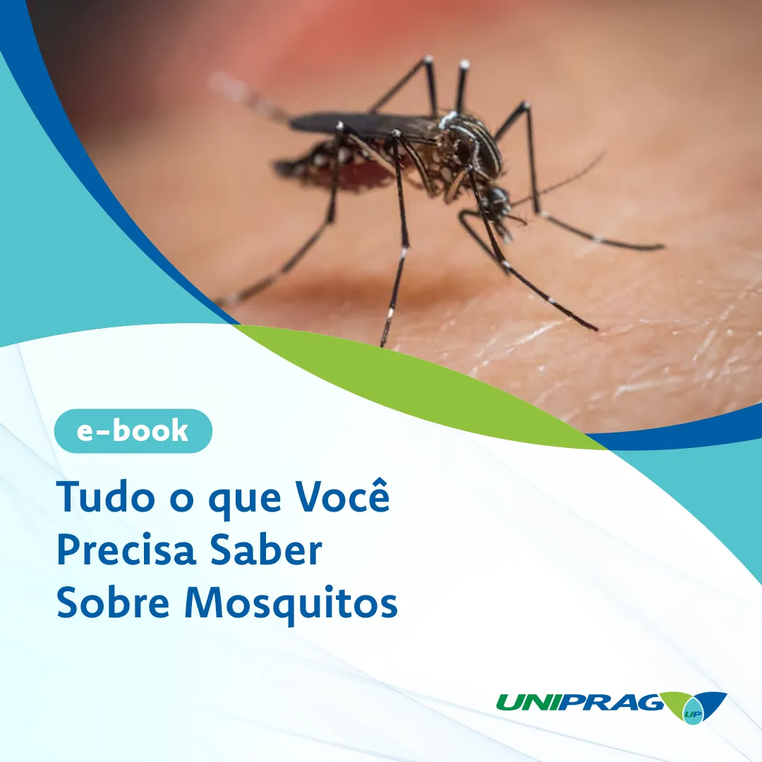 Imagem E-book Tudo o que vc precisa saber sobre Mosquitos