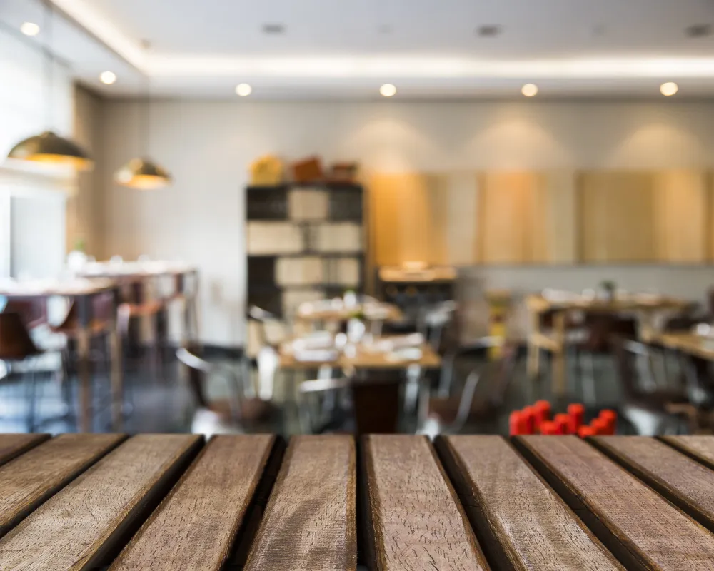 Controle de Moscas em Restaurantes Controle de Moscas em Restaurantes