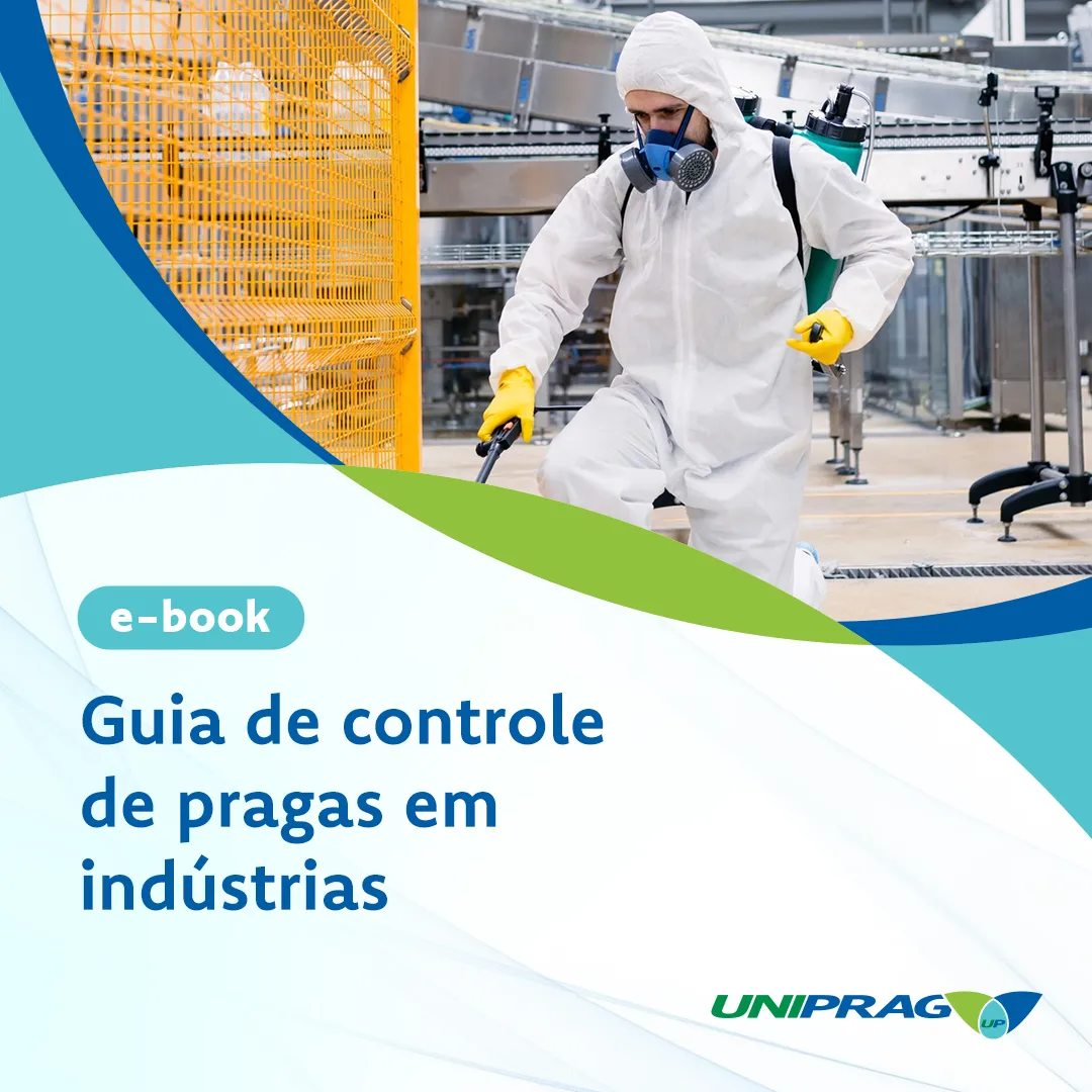 Tudo sobre Expurgo de Pragas de Grãos