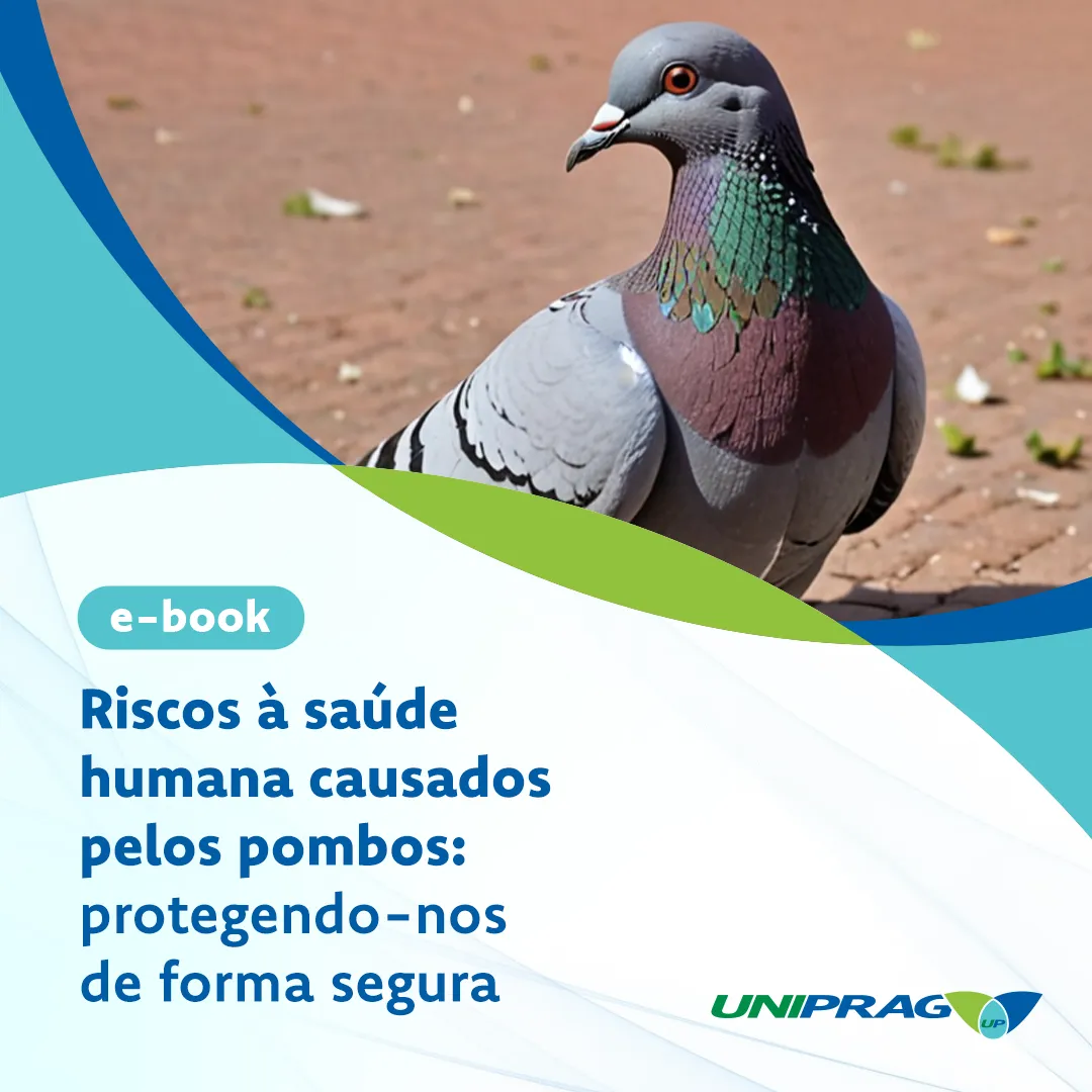 Ebook - Procedimento de segurança para a desinsetização