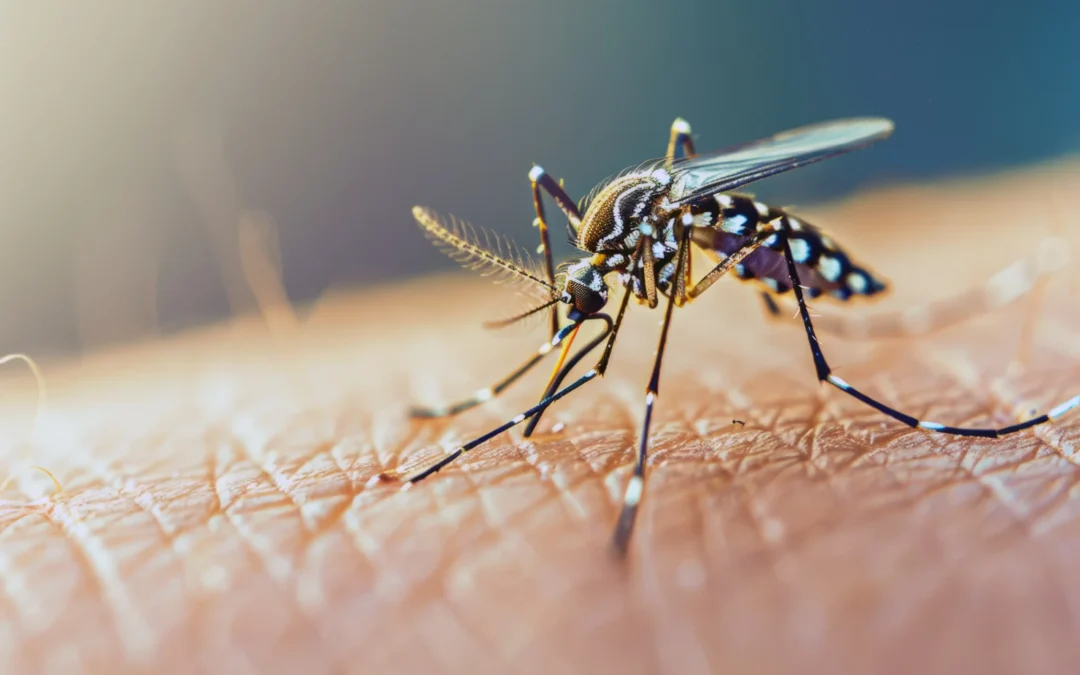 Por que realizar uma dedetização de mosquitos com uma empresa especializada?