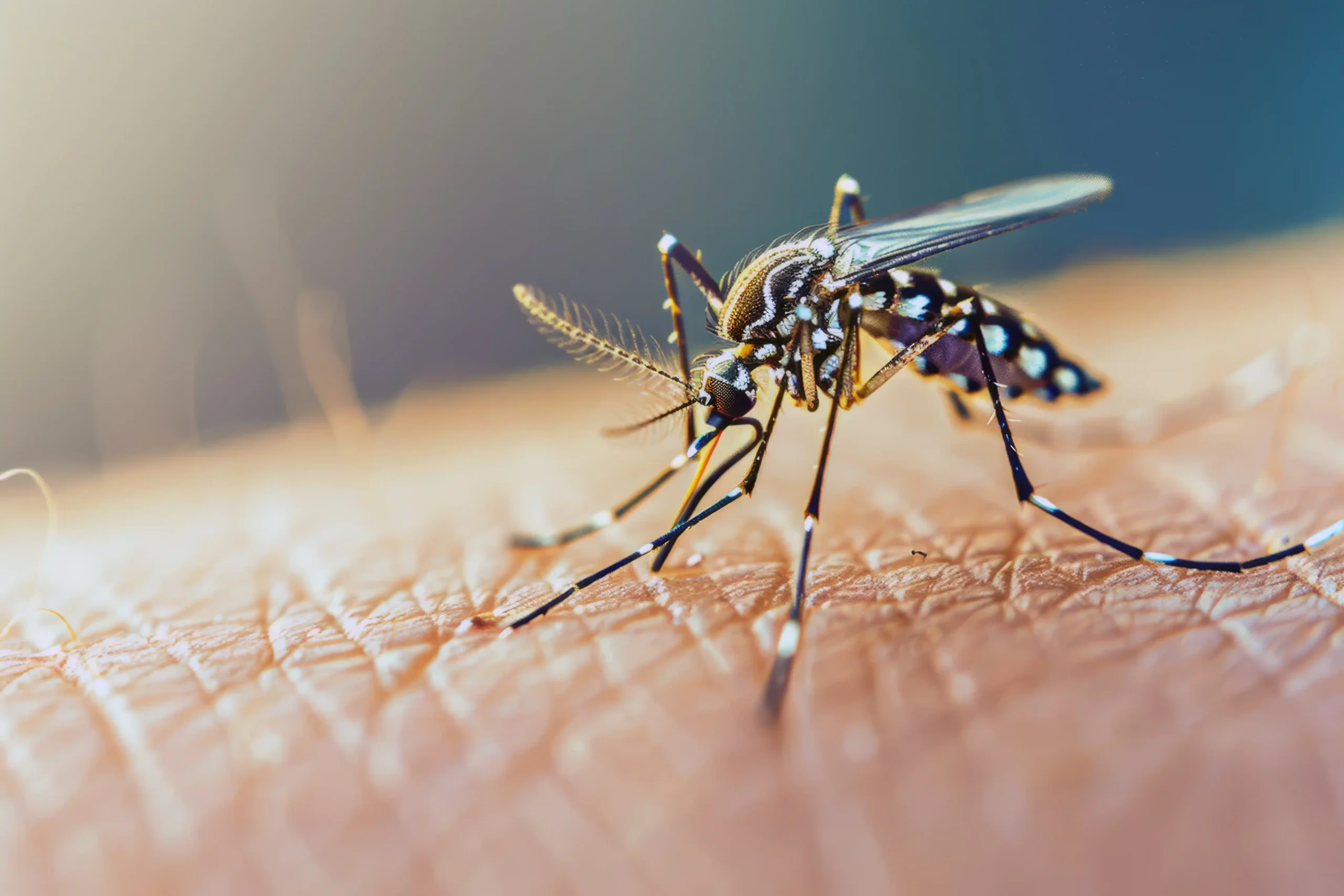 Controle-de-Mosquitos-afastar-mosquitos 9999x Controle de Mosquitos