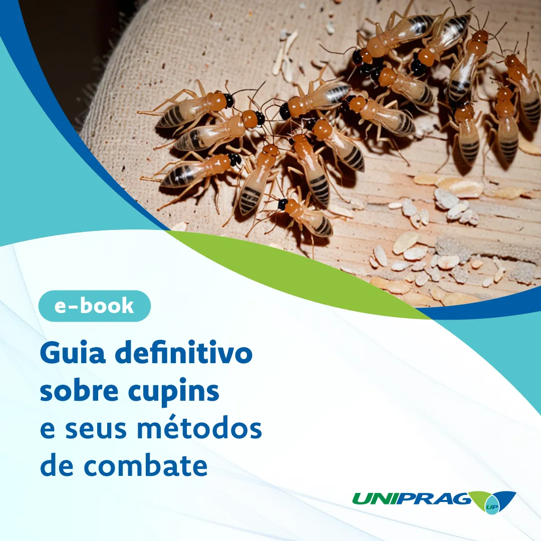 Tudo o que você precisa saber sobre escorpiões