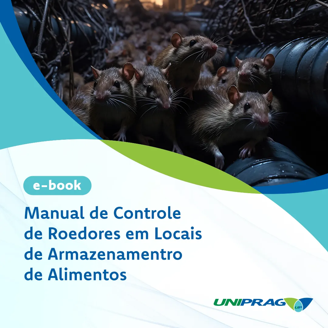 Tudo o que você precisa saber sobre Higienização de Reservatórios