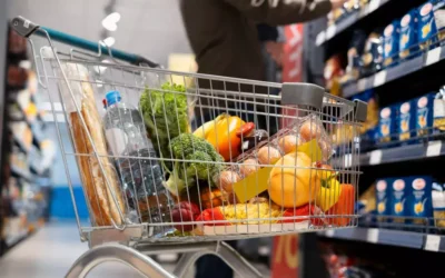 Controle de pragas no comércio de alimentos: o que diz a legislação brasileira?