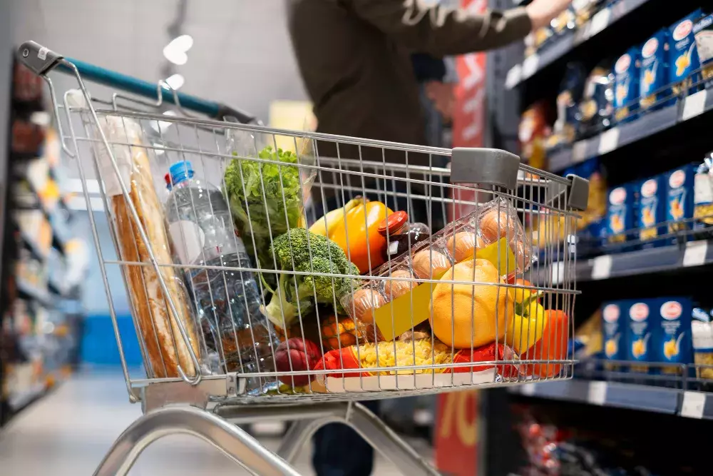 Controle de pragas no comércio de alimentos: o que diz a legislação brasileira? Controle de pragas no comércio de alimentos: o que diz a legislação brasileira?