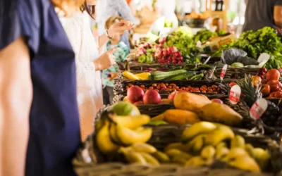A importância do controle de pragas no comércio de alimentos