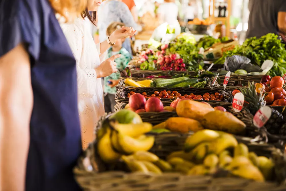 A importância do controle de pragas no comércio de alimentos A importância do controle de pragas no comércio de alimentos