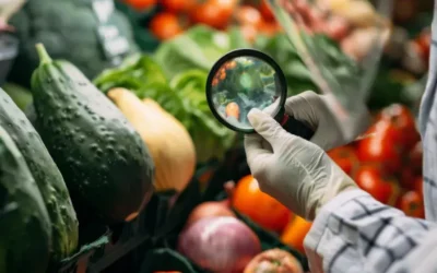 Como evitar pragas no comércio de alimentos: práticas preventivas essenciais