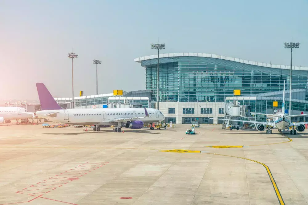 Principais pragas que afetam aviões e aeroportos e como combatê-las Principais pragas que afetam aviões e aeroportos e como combatê-las