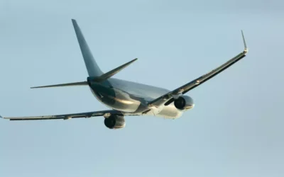 Controle de aves em aeroportos: como evitar colisões e manter a segurança aérea