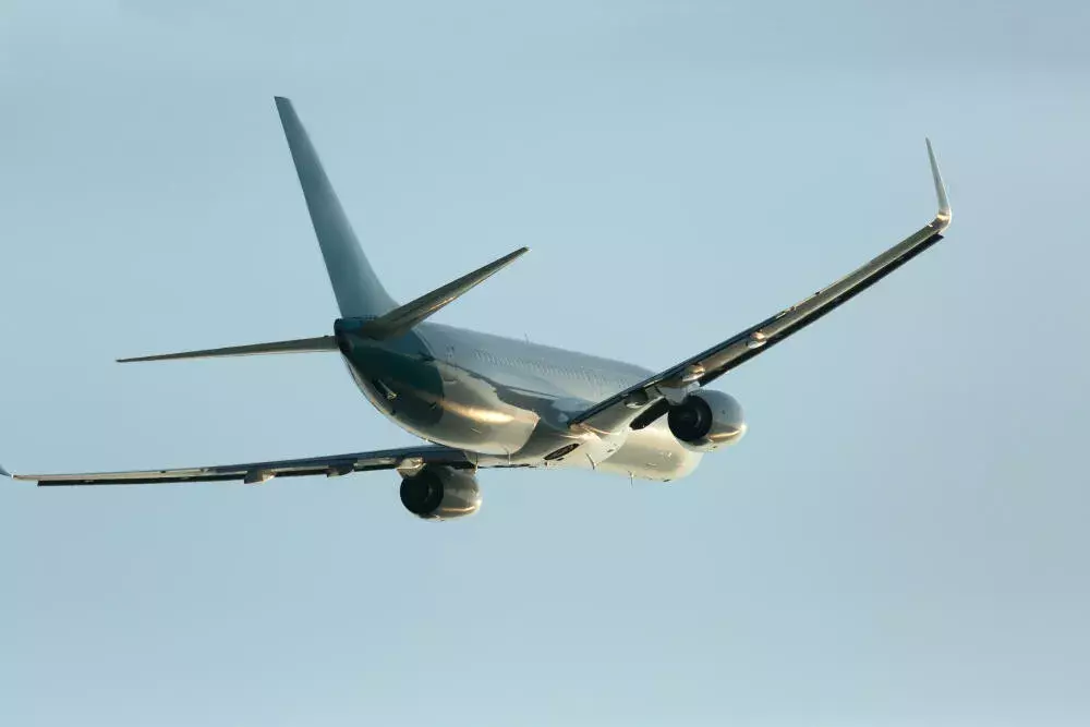 Controle de aves em aeroportos: como evitar colisões e manter a segurança aérea Controle de aves em aeroportos: como evitar colisões e manter a segurança aérea