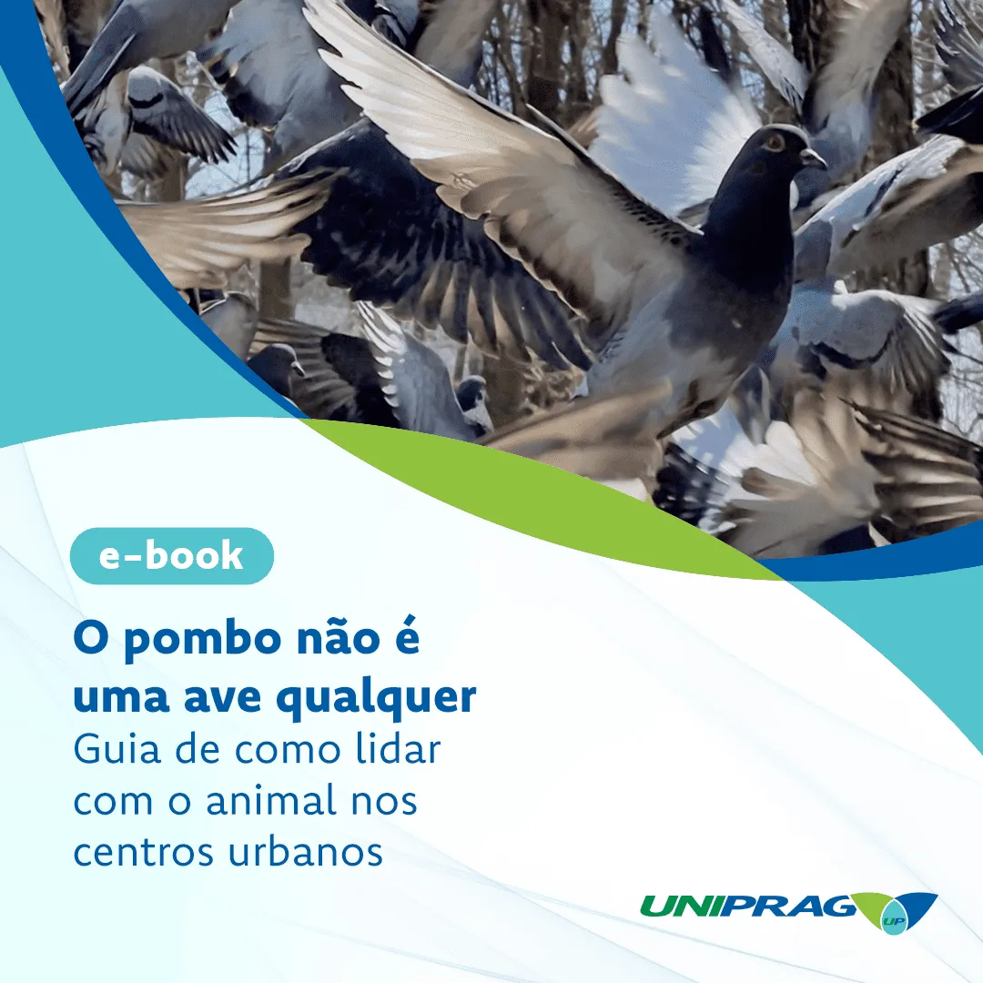 E-book – Guia de como lidar com o animal nos centros urbanos
