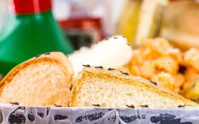 Estratégias de controle de pragas em terminais portuários e áreas de carga