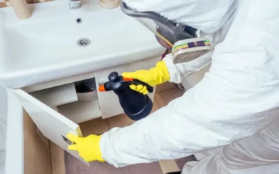 Prevenção de pragas nos portos: como evitar a introdução de pragas invasoras