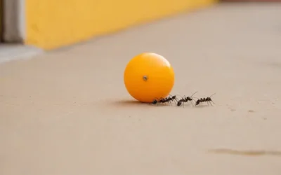 Como o controle de pragas pode acelerar o cronograma de construção