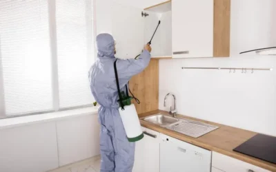 O impacto dos cupins na construção: como proteger a estrutura do seu projeto