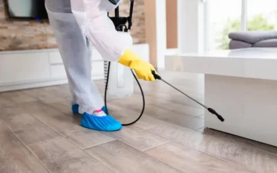 Pragas comuns em canteiros de obras e como preveni-las