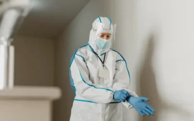 Dedetização comercial no Centro do Rio de Janeiro