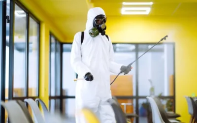 Dedetizadora no Rio de Janeiro: controle preventivo em períodos de calor