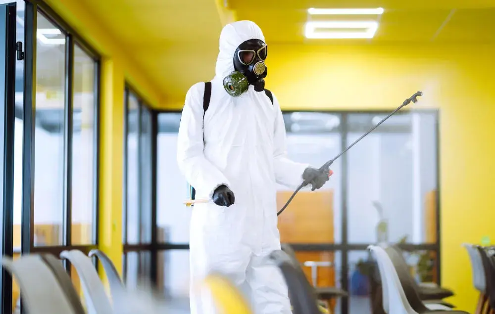 Dedetizadora no Rio de Janeiro: controle preventivo em períodos de calor