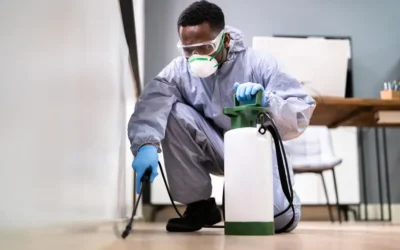 Dedetizadora em Natal: prevenção contínua contra pragas